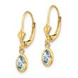 14k 6x4mm Aquamarine/March Earrings - Birthstone Company