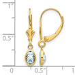 14k 6x4mm Aquamarine/March Earrings - Birthstone Company