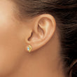14k Aquamarine and Diamond Heart Earrings - Birthstone Company
