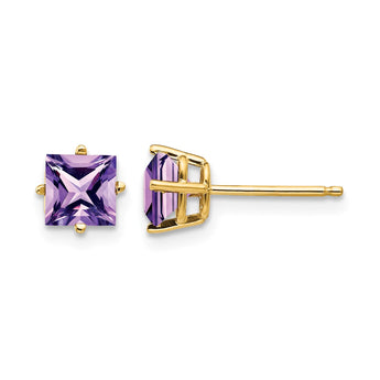 14k 5mm PrinceSterling Silver Cut Amethyst Earrings - Birthstone Company