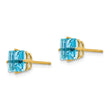 14k 6mm PrinceSterling Silver Cut Blue Topaz Earrings - Birthstone Company