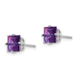 14k White Gold 6mm PrinceSterling Silver Cut Amethyst Earrings - Birthstone Company