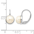 14K White Gold 6-7mm Button Freshwater Cultured Pearl Leverback Earrings - Birthstone Company