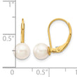 14k 6-7mm White Round Saltwater Akoya Cultured Pearl Leverback Earrings - Birthstone Company