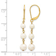 14k 4-6mm White Semi-round FW Cultured Pearl Gaduated Leverback Earrings - Birthstone Company
