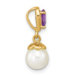 14K Gold w/ Amethyst & Freshwater Cultured Pearl Polished Pendant - Birthstone Company
