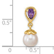 14K Gold w/ Amethyst & Freshwater Cultured Pearl Polished Pendant - Birthstone Company