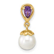 14K Gold w/ Amethyst & Freshwater Cultured Pearl Polished Pendant - Birthstone Company