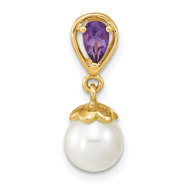 14K Gold w/ Amethyst & Freshwater Cultured Pearl Polished Pendant - Birthstone Company