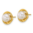 14k Polished 6-7mm Button White Freshwater Cultured Pearl Post Earrings - Birthstone Company