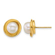 14k Polished 6-7mm Button White Freshwater Cultured Pearl Post Earrings - Birthstone Company