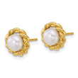 14k Polished 5-6mm Button White Freshwater Cultured Pearl Twisted Edge Post Earrings - Birthstone Company