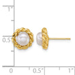 14k Polished 5-6mm Button White Freshwater Cultured Pearl Twisted Edge Post Earrings - Birthstone Company