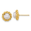 14k Polished 5-6mm Button White Freshwater Cultured Pearl Twisted Edge Post Earrings