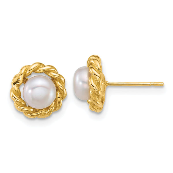 14k Polished 5-6mm Button White Freshwater Cultured Pearl Twisted Edge Post Earrings