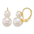 14k Polished 6-9mm Round White Freshwater Cultured 2-Pearl Leverback Earrings - Birthstone Company