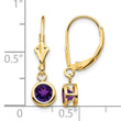 14k 5mm Amethyst Leverback Earring - Birthstone Company