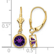 14k 6mm Amethyst Leverback Earrings - Birthstone Company