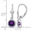 14k White Gold 6mm Amethyst Leverback Earrings - Birthstone Company