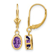 14k 7x5mm Oval Amethyst Leverback Earrings - Birthstone Company