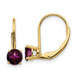 14k 5mm Rhodolite Garnet Leverback Earrings