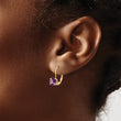 14k 6mm Amethyst Leverback Earrings - Birthstone Company