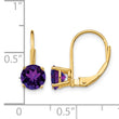 14k 6mm Amethyst Leverback Earrings - Birthstone Company