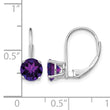 14k White Gold 6mm Amethyst Leverback Earrings - Birthstone Company