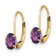 14k 6x4mm Oval Amethyst Leverback Earrings - Birthstone Company