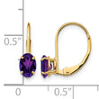 14k 6x4mm Oval Amethyst Leverback Earrings - Birthstone Company