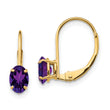 14k 6x4mm Oval Amethyst Leverback Earrings