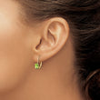 14k 6x4mm Oval Peridot Leverback Earrings