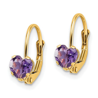 14k 5mm Heart Amethyst Leverback Earrings - Birthstone Company
