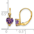 14k 5mm Heart Amethyst Leverback Earrings - Birthstone Company