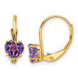 14k 5mm Heart Amethyst Leverback Earrings - Birthstone Company