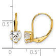 14k 5mm Heart Cubic Zirconia Leverback Earrings - Birthstone Company