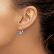 14k White Gold 5mm Heart Blue Topaz Leverback Earrings - Birthstone Company