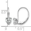 14k White Gold 5mm Heart Cubic Zirconia Leverback Earrings - Birthstone Company