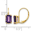 14k 7x5mm Emerald Cut Amethyst Leverback Earrings - Birthstone Company