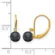 14k 5-6mm Black FW Cultured Pearl AA Diamond Leverback Earrings - Birthstone Company