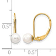 14k 5-6mm White Round Freshwater Cultured Pearl Leverback Earrings - Birthstone Company