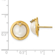 14k 10-12mm Cultured Mabe Pearl & Diamond Earrings - Birthstone Company