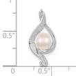 14K White Gold 5.5mm Round Freshwater Cultured Pearl AA Diamond Pendant - Birthstone Company