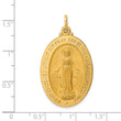 14k Solid Polished/Satin Large Oval Miraculous Medal