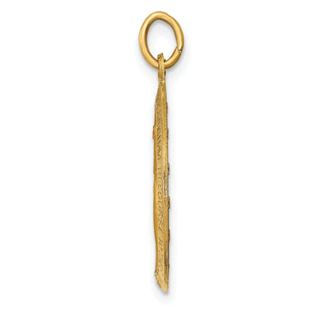 14k Solid Polished and Satin Oval Miraculous Medal