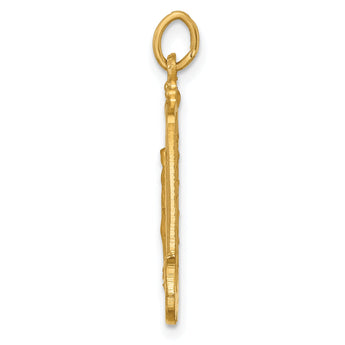 14k Solid Polished/Satin Large Rectangle Framed Miraculous Medal