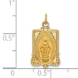 14k Solid Polished/Satin Rectangular Miraculous Medal