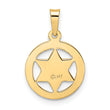 14k Polished and Textured Solid Star of David in Frame Pendant