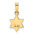 14k Polished and Enameled Solid Star of David Pendant
