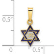 14k Polished and Enameled Solid Star of David Pendant